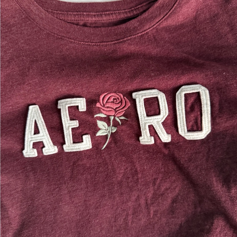Aeropostale Burgundy Classic Crew Tee
